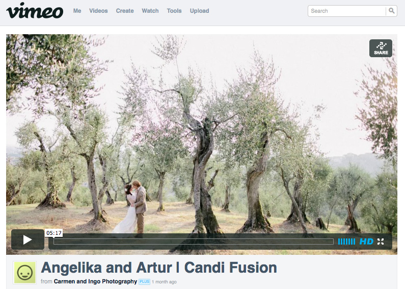 Candi Fusion | Looking Back | Part Two